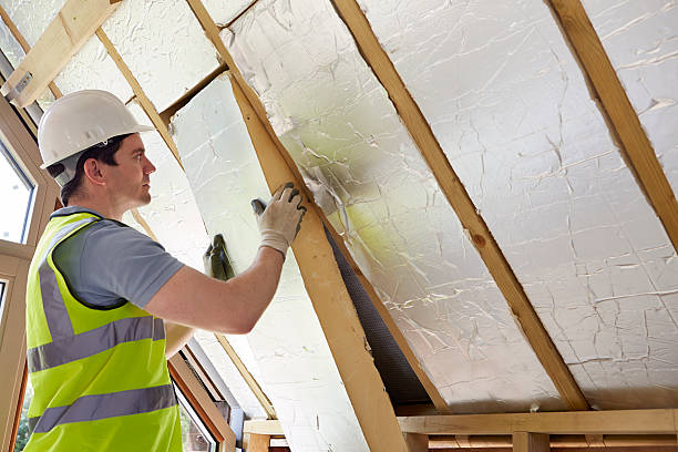 Best Insulation Removal  in Kiryas Joel, NY